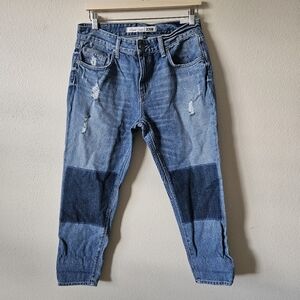 Lover + Friends Oxford Ezra Slim Boyfriend Jeans 29x26